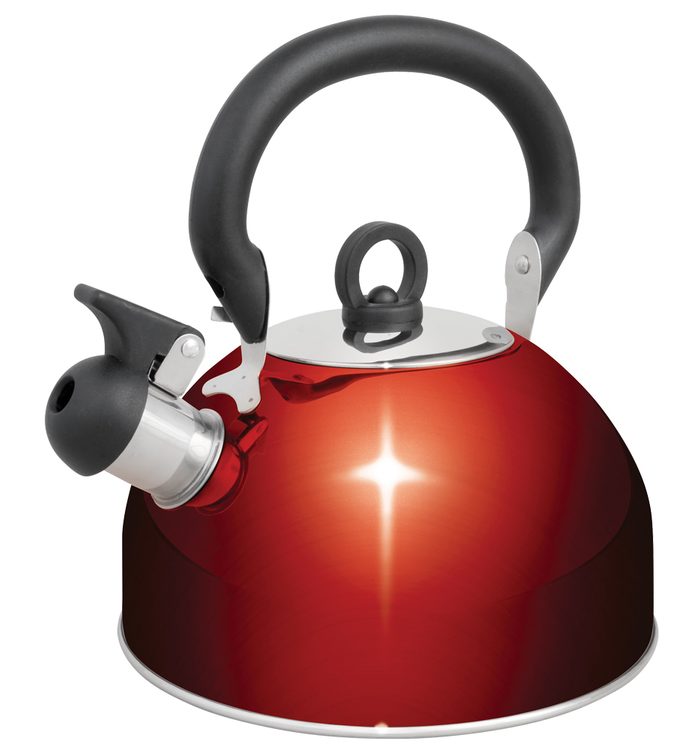 Campfire Stainless Steel Whistling Kettle Red 4L
